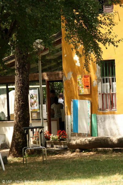 2012-07-01 B & B - Bedlington & Bichon Fun Day (65)_1000x1500.jpg